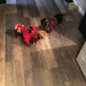 Meet your Posher, Tracey